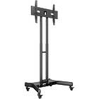 Multibrackets 2319 M Public Floorstand Basic 150|Monitor Trolley incl shelf & camera holder product image