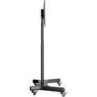 Multibrackets 2319 M Public Floorstand Basic 150|Monitor Trolley incl shelf & camera holder product image