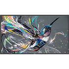 Philips 43BDL3511Q/00 42.5 inch Large Format Display product image