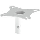 Unicol CP3 Single Column Stub Ceiling Plate, Max 60.00kg finished in white product image