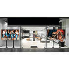Vogels FMVW2255 2×2 Video Wall Bolt-Down Floor Stand product image