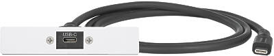 Extron USB-C AVPD 101 AAP product image