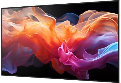 Sharp MultiSync E869