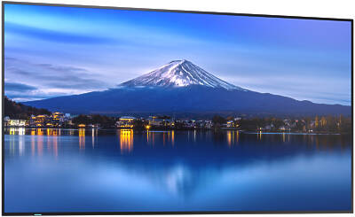 Sharp MultiSync P656